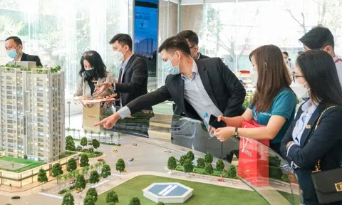 Môi giới bất động sản đưa thông tin sai có thể bị phạt tới 160 triệu