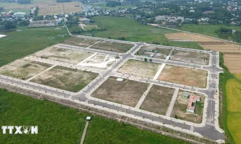 Thủ tục đất đai: Rà soát kỹ, không để 'cò' làm nhanh hơn người dân