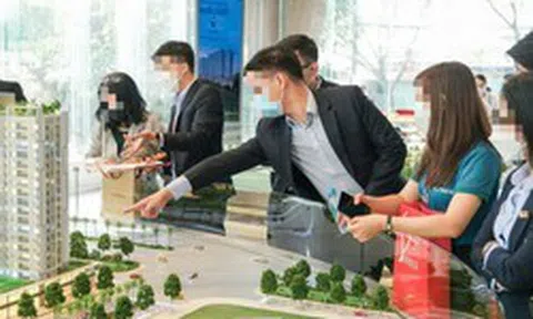 Tất cả môi giới bất động sản chú ý quy định phạt đến 60 triệu đồng từ ngày 26/8