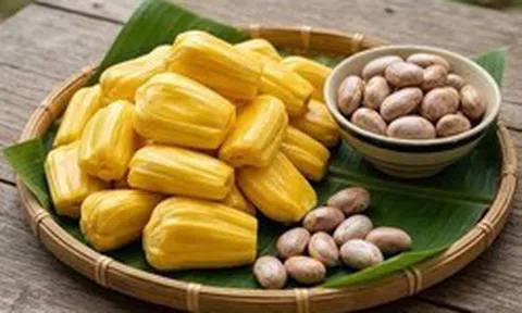 Bất ngờ với công dụng của hạt mít: Giàu chất dinh dưỡng, giúp giảm độ ẩm và cải thiện khẩu vị, nhiều người lại thường đem vứt