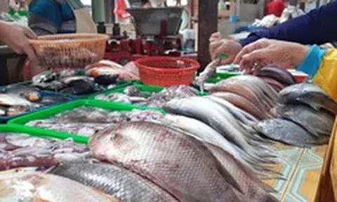 5 loại cá ra chợ thấy "ngon mắt", rẻ mấy cũng đừng mua!