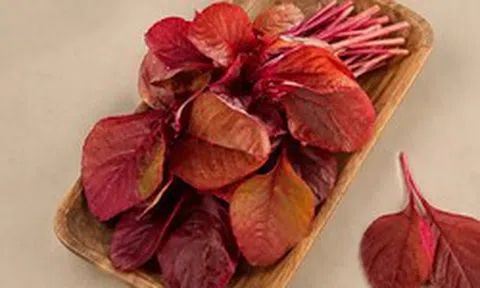 Rẻ bèo, loại rau giàu sắt ngang thịt bò, chợ Việt bán đầy: Rau gì mà bổ dưỡng đến vậy?