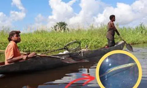 Sinh vật mất tích hơn 40 năm bất ngờ "sống lại": Người phụ nữ vô tình tìm thấy 2 con vào phút cuối