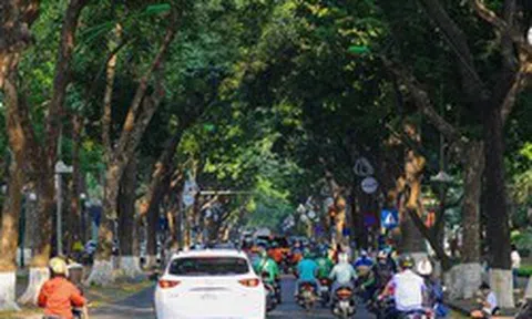 Từ ngày 23/9, toàn bộ người dân Việt Nam được miễn phí 100% dịch vụ này trong suốt 5 ngày