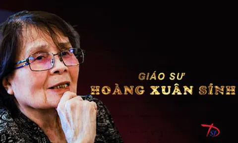 Nữ giáo sư Toán học đầu tiên của Việt Nam là ai?