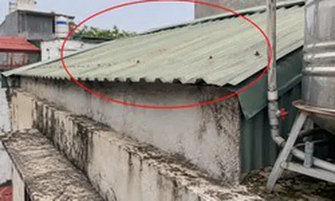 5 lời khuyên cho những gia đình lâu ngày chưa kiểm tra mái nhà