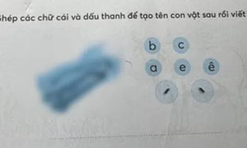 Con vật trong bài tập tiếng Việt này có gì "khác lạ" mà khiến 1 bà mẹ bức xúc, hội phụ huynh cũng vào cuộc tranh luận?