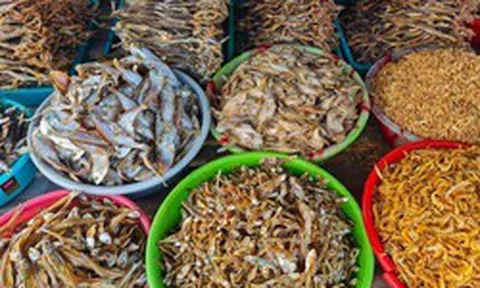 Lời khuyên dành cho tất cả những ai thích ăn cá khô