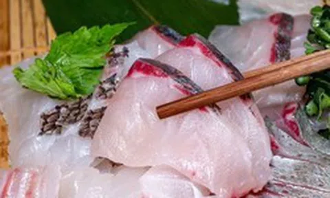 Loại cá bán đầy chợ Việt, được người Nhật mua về làm sashimi: Rẻ nhưng dinh dưỡng vượt cá hồi, cực tốt cho sức khỏe
