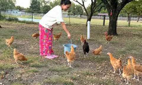 Nữ ca sĩ Việt sinh năm 1978 qua Mỹ hơn 20 năm vẫn nổi tiếng, thích trồng rau, nuôi gà trong ngôi nhà 1.400 m2