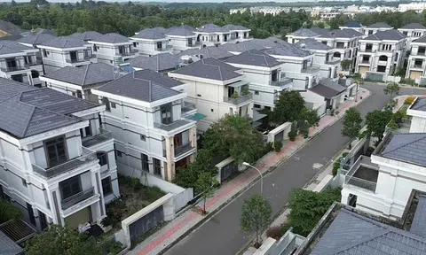 Khu dân cư hơn 834 tỷ đồng bỏ hoang, cỏ mọc um tùm