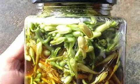 Lời khuyên dành cho tất cả những ai hay uống hoa đu đủ đực ngâm mật ong