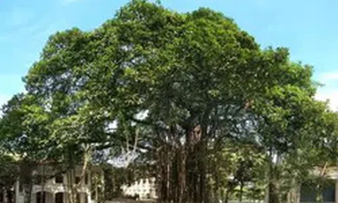 Báo Nhân Dân ra mắt không gian nghệ thuật cộng đồng với chương trình âm nhạc “Tán Đa”