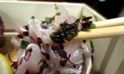 Loại cá bán đầy chợ Việt, được người Nhật mua về làm sashimi: Rẻ nhưng khoáng chất vượt cá hồi, cực tốt cho sức khỏe