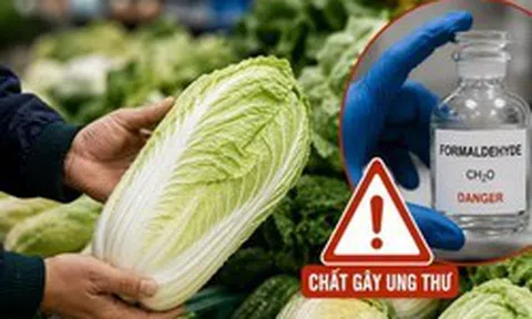 5 mẹo giúp bạn dễ dàng nhận biết cải thảo nhiễm formaldehyde