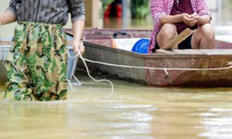 Biển nước bủa vây ngoại thành Hà Nội, hàng hóa tiền tỷ chìm trong nước: “Năm nay chẳng nghĩ gì đến Tết”