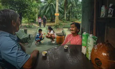Tái sinh vườn dừa: Lời tri ân từ một doanh nghiệp nửa thế kỷ gắn bó với cây dừa