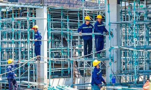 Vingroup huy động gần 9.000 người thi công đại dự án ở Quảng Ninh