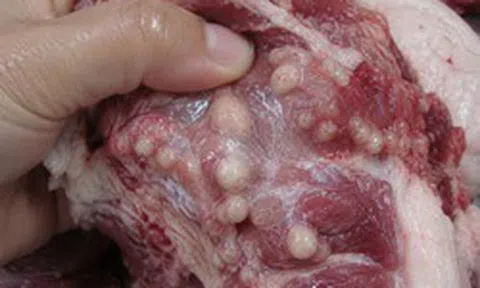 3 phần thịt lợn KHÔNG NÊN mua