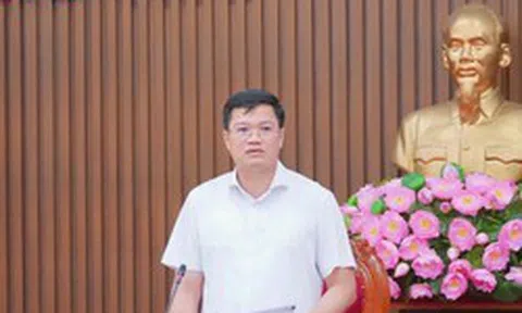 Quảng Ngãi yêu cầu rà soát danh mục 181 dự án chuyển tiếp