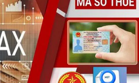 Được cấp mã số thuế, người nộp thuế cần kiểm tra ngay những thông tin này