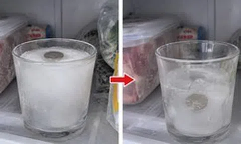 Đặt 1 cốc nước vào ngăn đá trước khi đi xa, mẹo nhỏ giúp bạn biết một việc rất quan trọng khi trở về