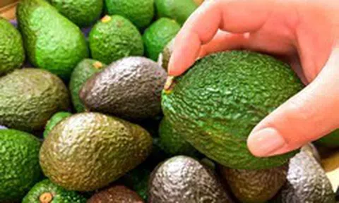 8 món ăn giúp giảm mỡ nội tạng chỉ sau 30 ngày, đang bán đầy chợ Việt