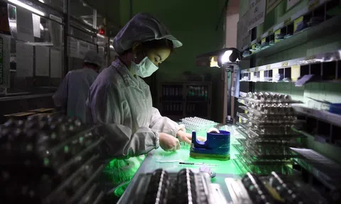 Rõ kế hoạch phát triển kinh tế có vốn đầu tư nước ngoài tại Việt Nam