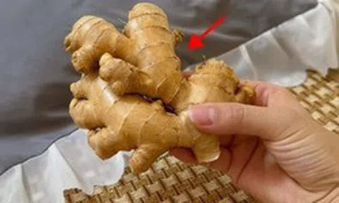 Vì sao ngày càng nhiều người thích đặt một củ gừng dưới gối khi ngủ?