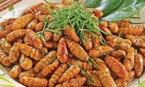 Ăn 20 con nhộng tằm, người đàn ông 41 tuổi suy đa tạng, suýt mất mạng
