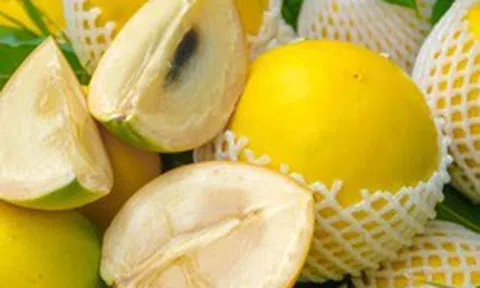 1 loại quả ngọt tốt ngang nhân sâm, chỉ duy nhất Việt Nam xuất khẩu trên thế giới: Hạ đường huyết, bổ máu, tốt cho xương khớp