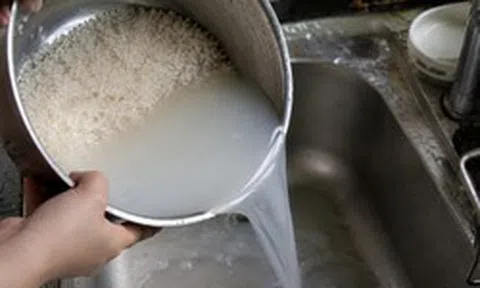 Vì sao nên vo gạo chắt nước rồi "bôi khắp nhà"?