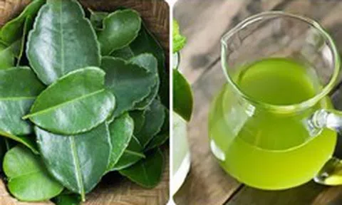 Uống nước lá chanh có tác dụng gì?