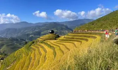 Quả bóng đen giữa ruộng bậc thang ở Lào Cai gây chú ý, chính quyền lên tiếng