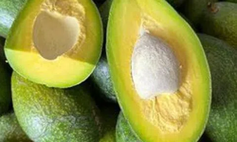 7 thực phẩm càng ăn mỡ bụng càng giảm: Cứ ra chợ Việt là không thiếu
