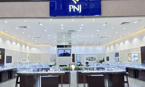 PNJ tái cấu trúc