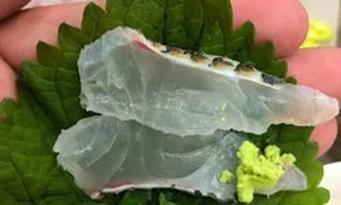 Một loại cá rẻ bèo bán đầy chợ Việt Nam, dinh dưỡng vượt cá hồi, được người Nhật tăng mua để làm sashimi