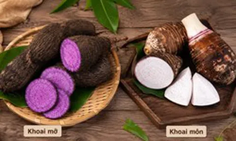 Mùa thu đừng bỏ qua 3 thực phẩm quen thuộc này: Ăn đều giúp bồi bổ tỳ vị, hỗ trợ khí huyết