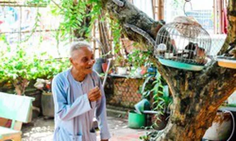Tuổi thọ 74,7 nhưng chỉ 65,4 năm sống khỏe: Khi tuổi già cần người chăm sóc, tiền đâu để trả?