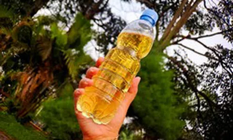 Hơn 90% người bệnh không biết thận đang "chết dần", bác sĩ dạy cách tự kiểm tra chỉ với 1 chiếc chai nhựa