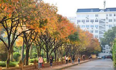 Một trường đại học top đầu Việt Nam thông báo có thêm 3 trường trực thuộc