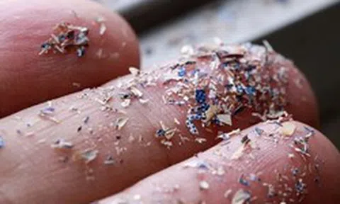 1 đồ dùng rất quen trong bếp có thể thải hàng triệu hạt vi nhựa, nhà nào cũng có