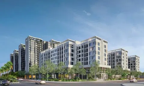TP.HCM sắp bán NOXH vị trí đắc địa, giá tạm tính 30,7 triệu đồng/m2
