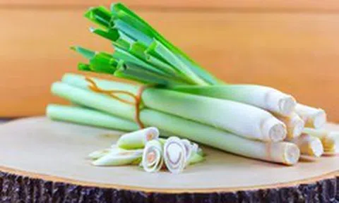 Lời khuyên đến tất cả các gia đình đang trồng cây sả để ăn
