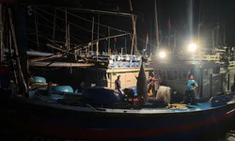 Bắt được "quái ngư" 310 kg ngoài khơi Việt Nam: Kích thước lớn đến mức phải dùng thiết bị chuyên dụng