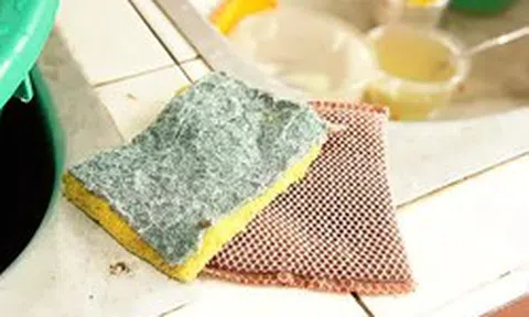 Tất cả các gia đình đang dùng miếng bọt biển rửa bát xin chú ý!