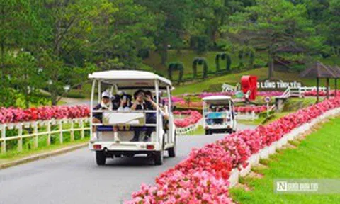 Lâm Đồng tăng trưởng GRDP 8,51%, kỳ vọng Festival Hoa tạo cú hích cuối năm