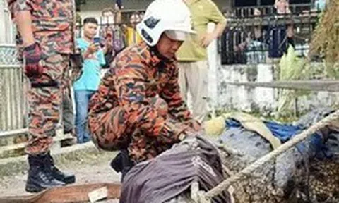 Cần thủ vô tình móc trúng "quái thú" dài hơn 4,5m, nặng trên 1 tấn: Kéo lên mới phát hiện điều bất thường
