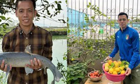 Cây chanh vàng của Văn Quyết