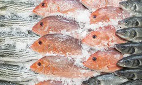 7 loại cá có hàm lượng thủy ngân thuộc hàng cao nhất: Thích đến mấy cũng phải dè chừng